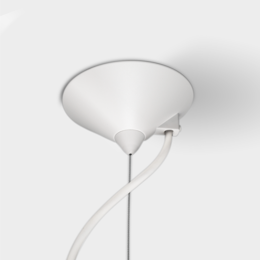 Ceiling Rose