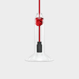 Small Red Knot Lamp